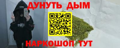 прущие грибы Гатчина