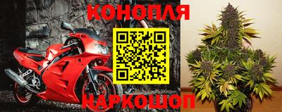 индика Гагарин