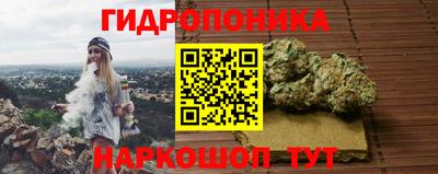 индика Гагарин