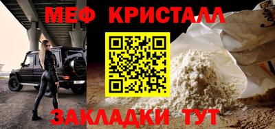 прущие грибы Гатчина