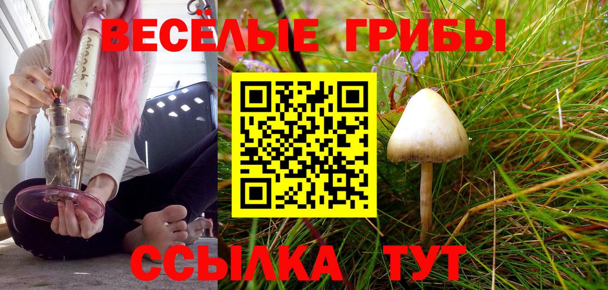 А ПВП Мыски